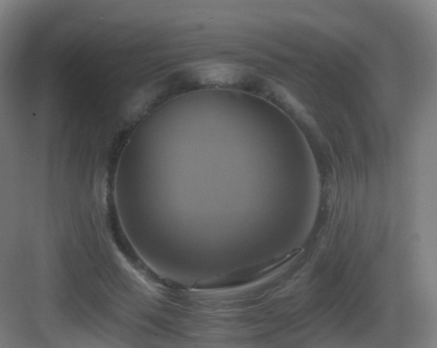 X0000083560637200702091126