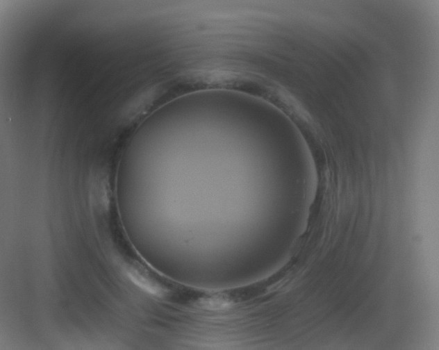 X0000083560644200702091126