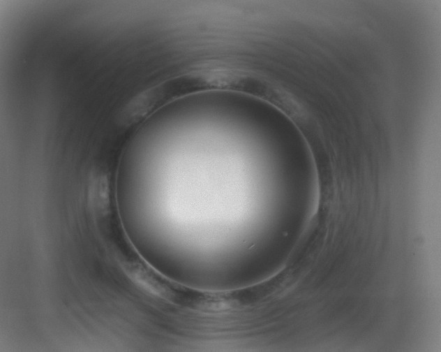 X0000083560646200702091126