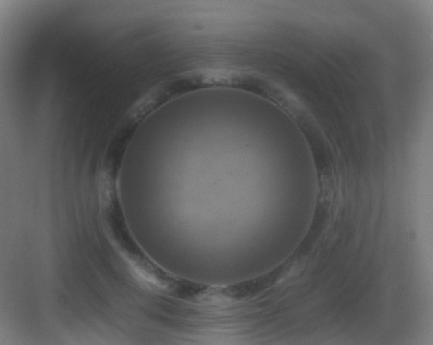 X0000083560648200702091126
