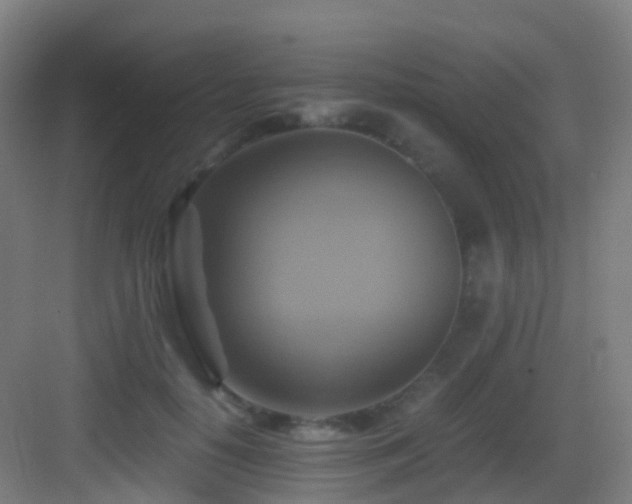 X0000083560650200702091126