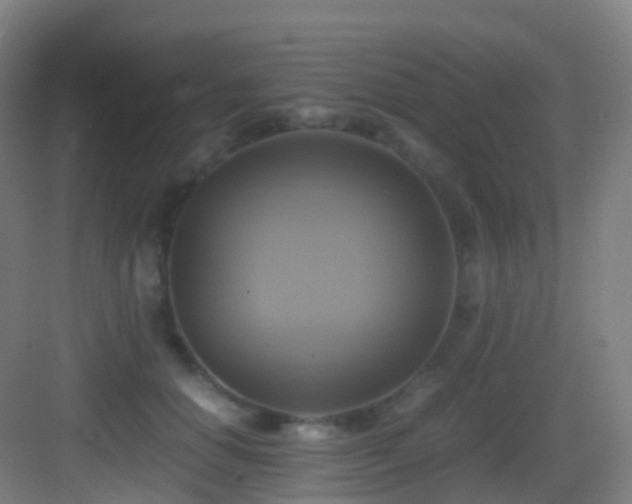 X0000083560654200702091126