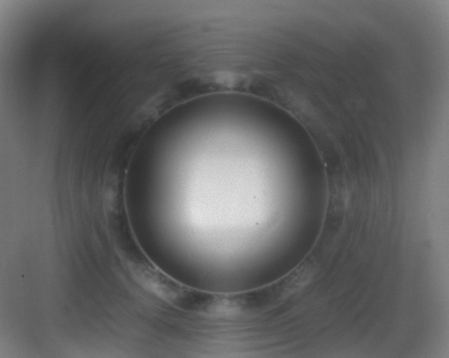 X0000083560656200702091126