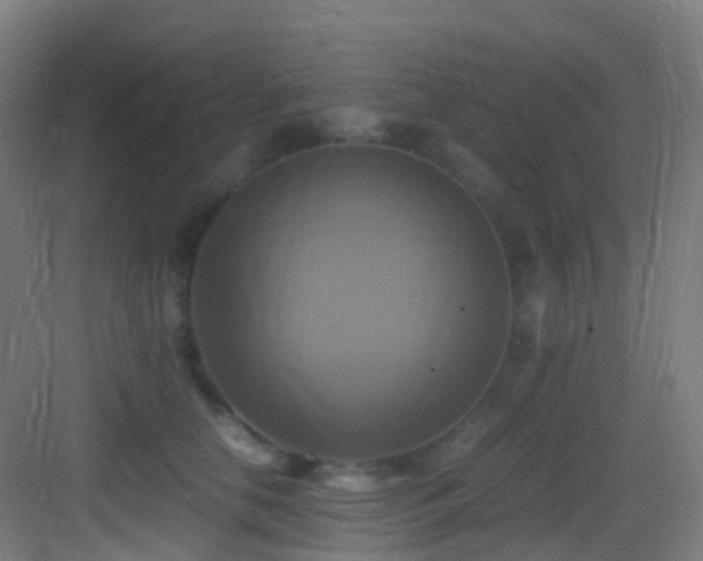 X0000083560658200702091126