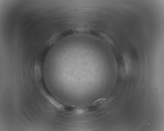 X0000083560662200702091126