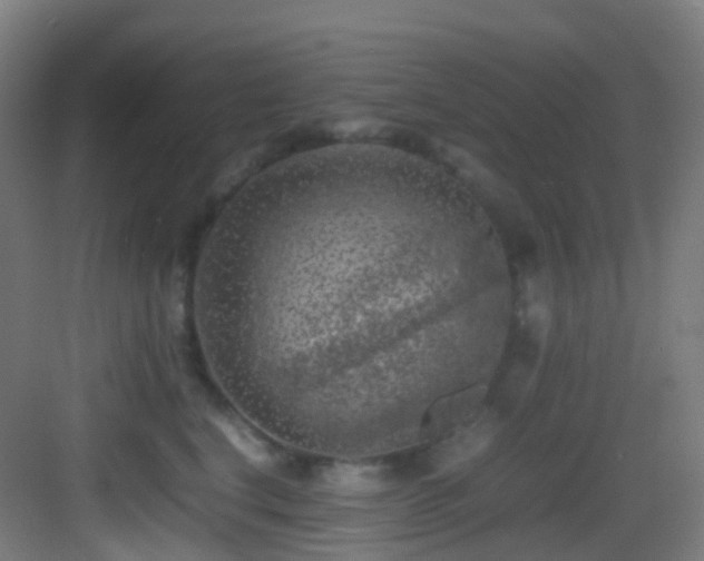 X0000083560664200702091126