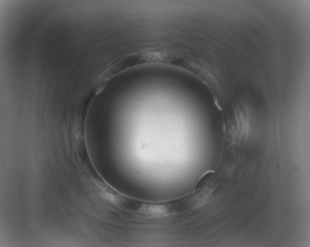 X0000083560665200702091126