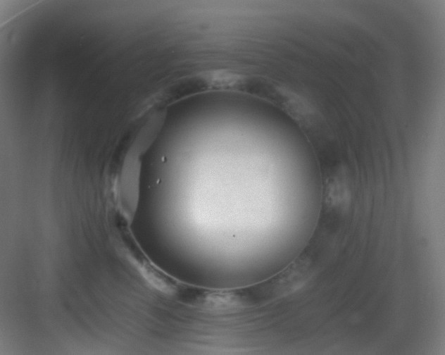 X0000083560666200702091126