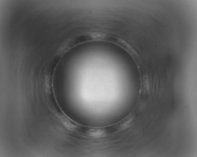X0000083560667200702091126
