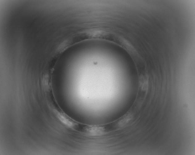 X0000083560670200702091126