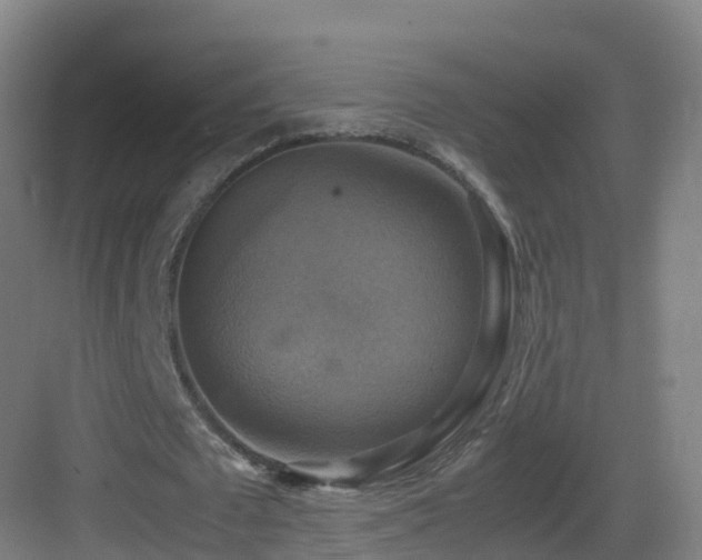 X0000083560673200702091125