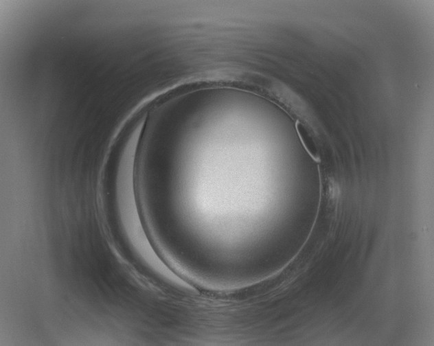 X0000083560676200702091125