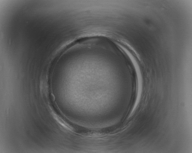 X0000083560677200702091125