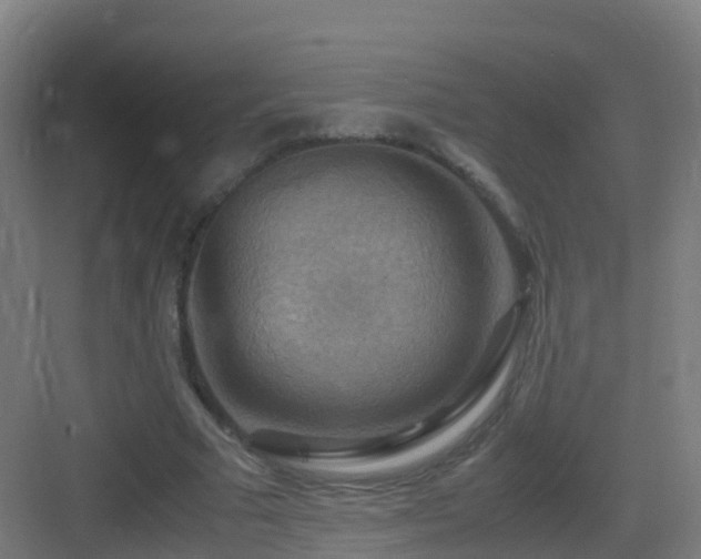 X0000083560681200702091125