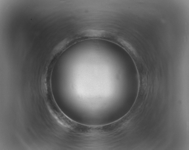 X0000083560682200702091125