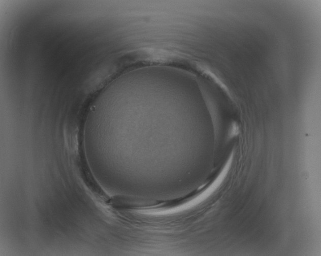 X0000083560685200702091125