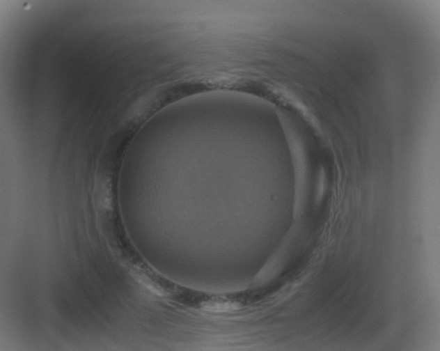 X0000083560689200702091125