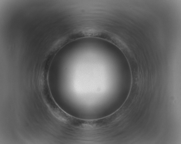 X0000083560690200702091125