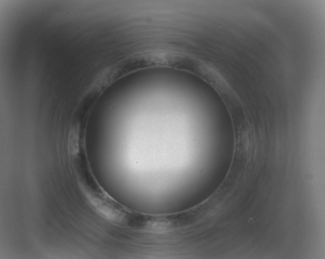 X0000083560694200702091125