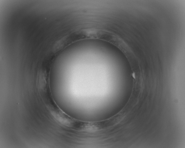 X0000083560702200702091125