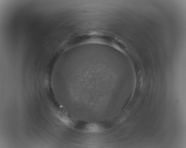 X0000083560704200702091125