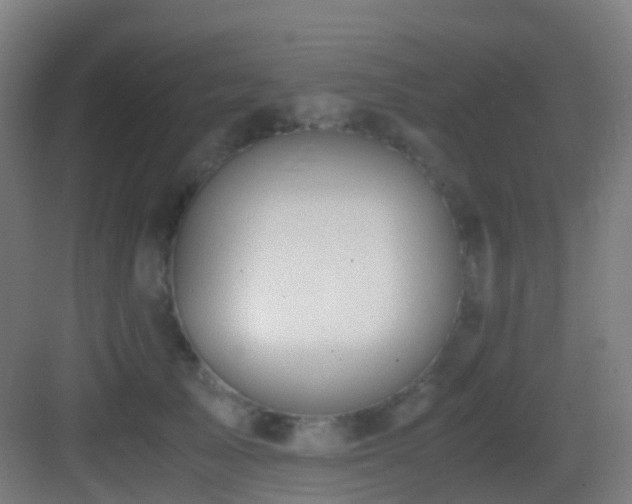 X0000083560705200702091125