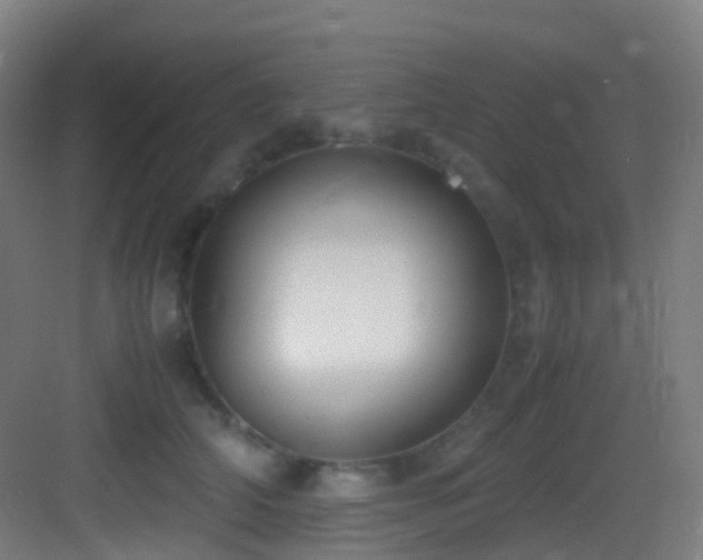 X0000083560706200702091125