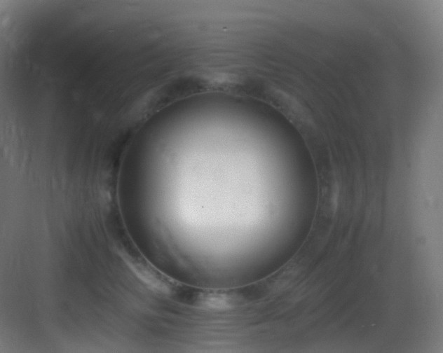 X0000083560710200702091125
