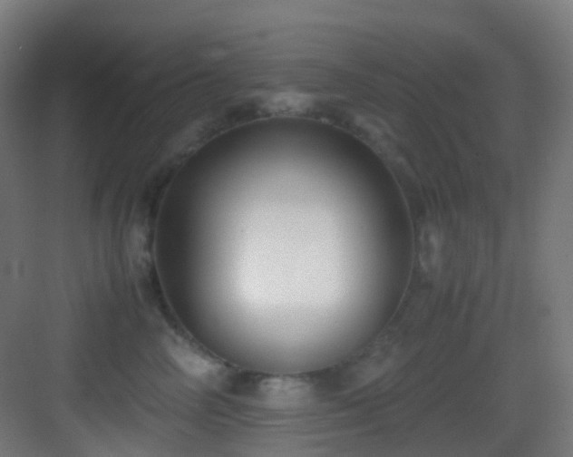 X0000083560714200702091125