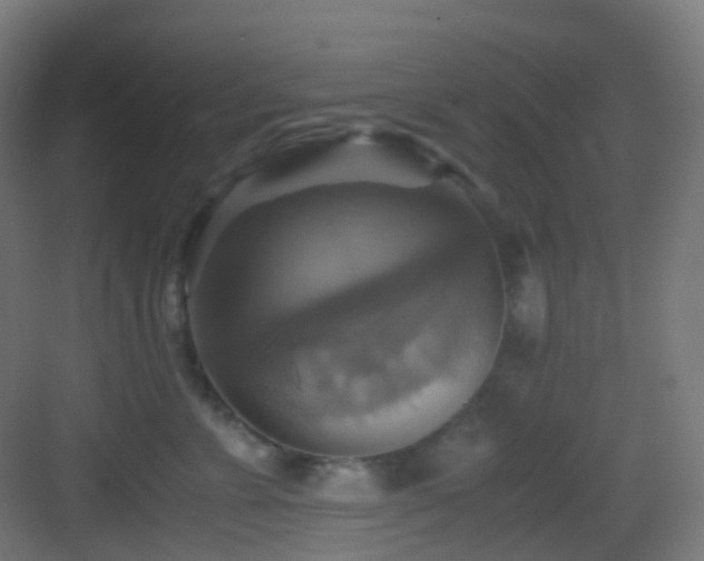 X0000083560715200702091125