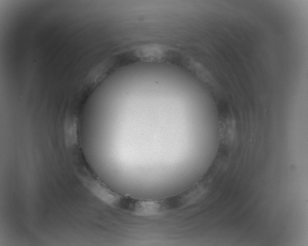 X0000083560717200702091125