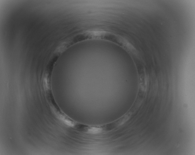 X0000083560718200702091125