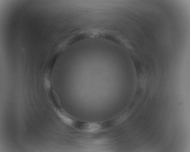 X0000083560719200702091125