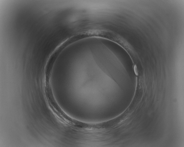 X0000083560722200702091124