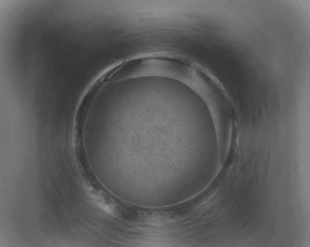 X0000083560724200702091124