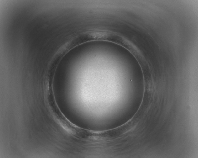 X0000083560733200702091124