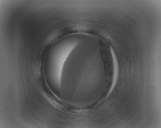 X0000083560735200702091124