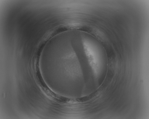 X0000083560742200702091124