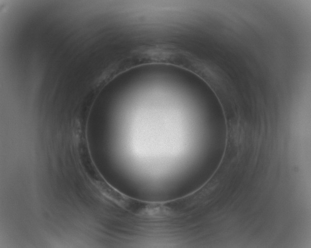 X0000083560752200702091124