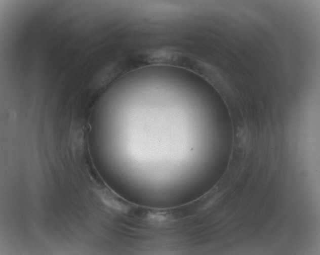 X0000083560753200702091124