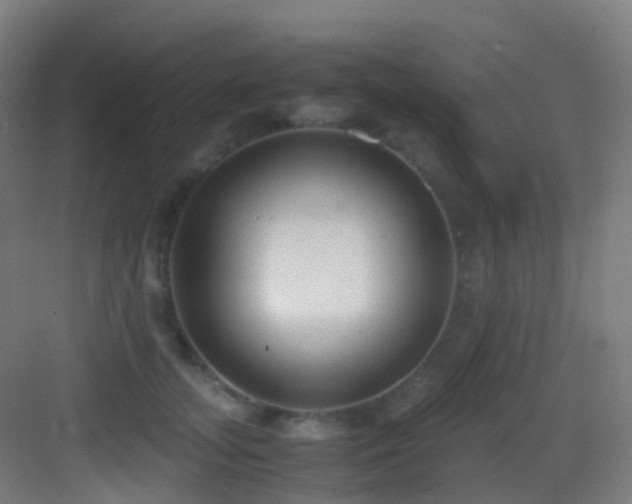 X0000083560755200702091124