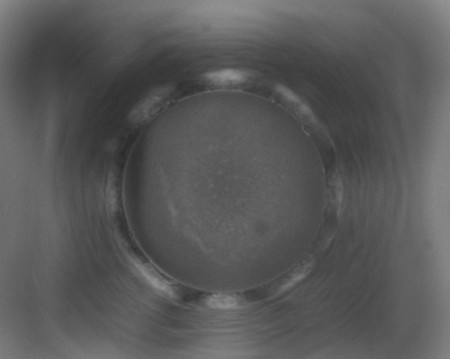 X0000083560762200702091124
