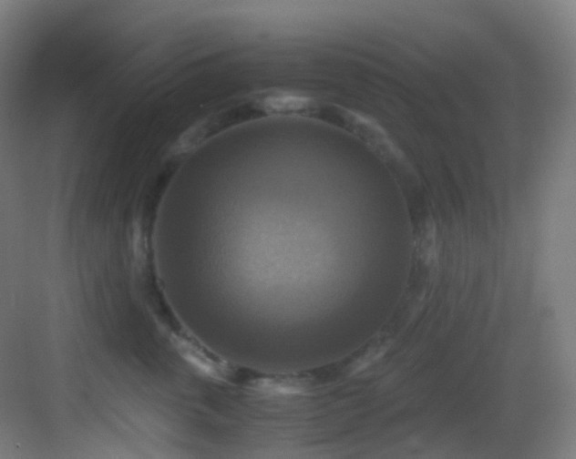 X0000083560763200702091124