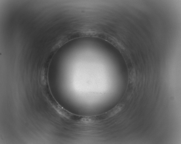 X0000083560764200702091124