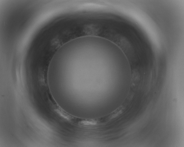 X0000083560765200702091125