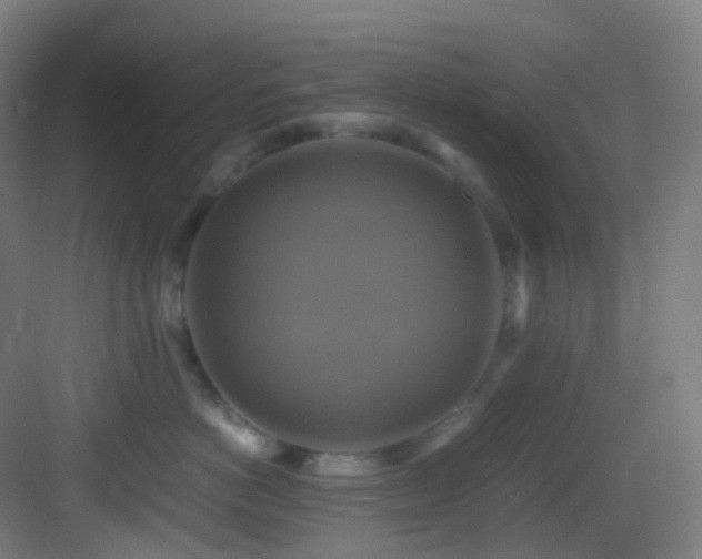 X0000083560766200702091125