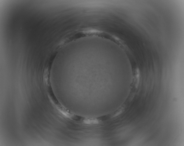 X0000083560767200702091125