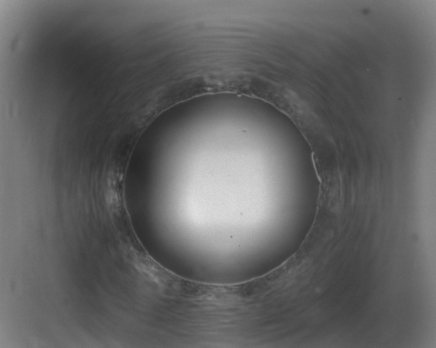 X0000083560770200702091124