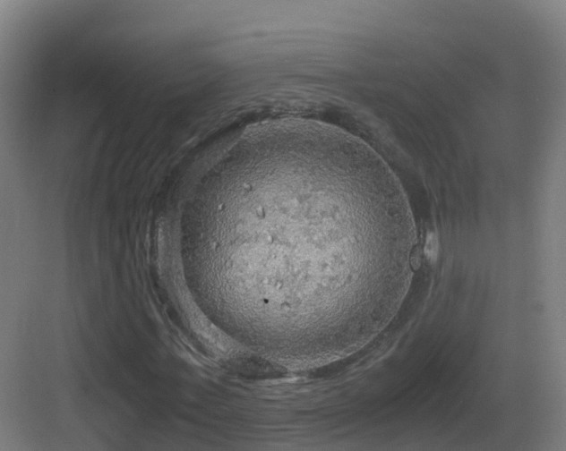 X0000083560771200702091124