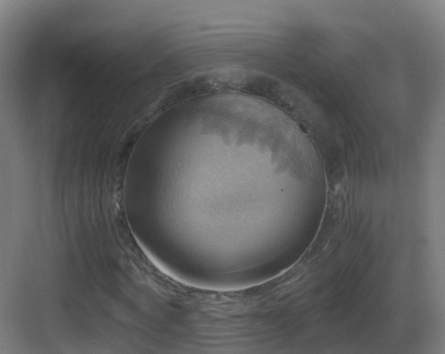 X0000083560772200702091124